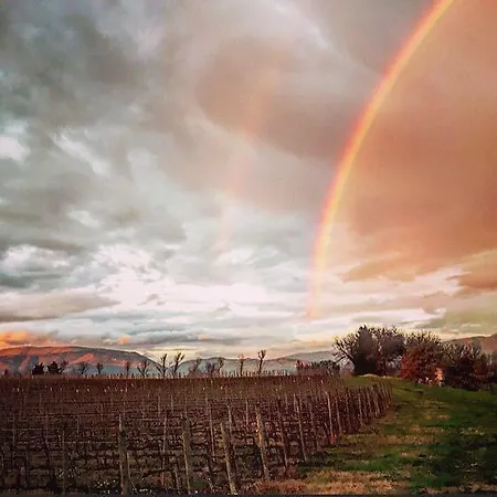 Da Giuliana Bed & Breakfast Montefalco